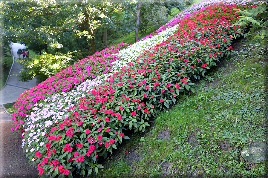 foto Giardini Trauttmansdorff - Boschi del Mondo